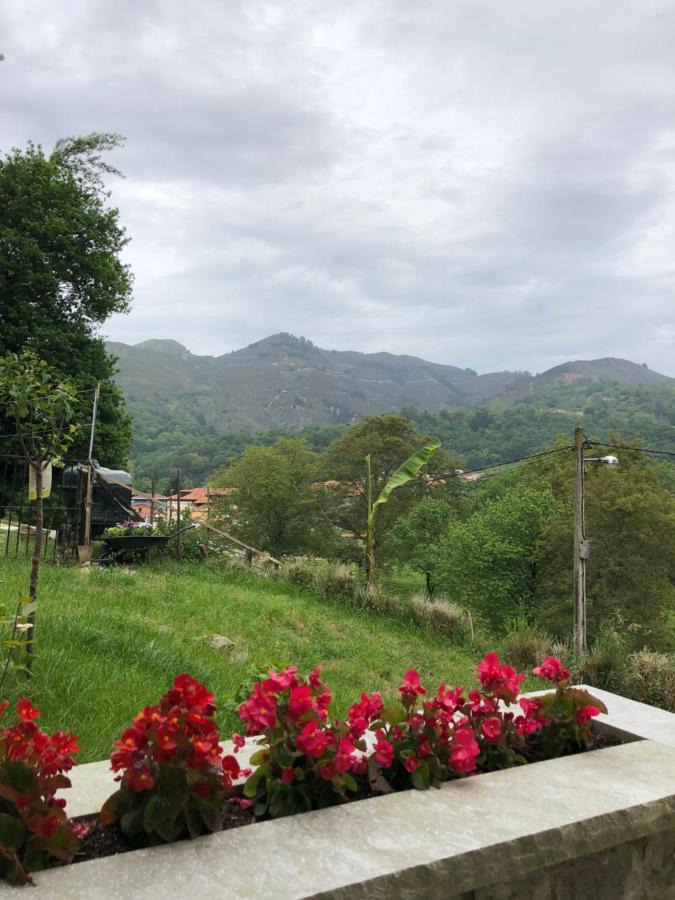 Alojamiento Rural Cosorios Cangas de Onis Luaran gambar